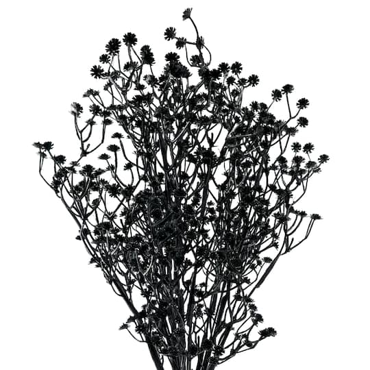 19" Black Twig Bush by Ashland®